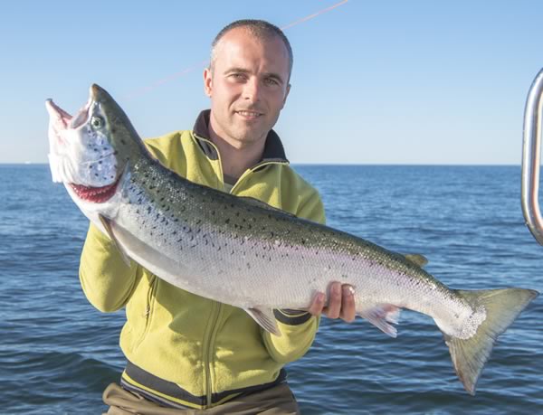 Trolling salmon